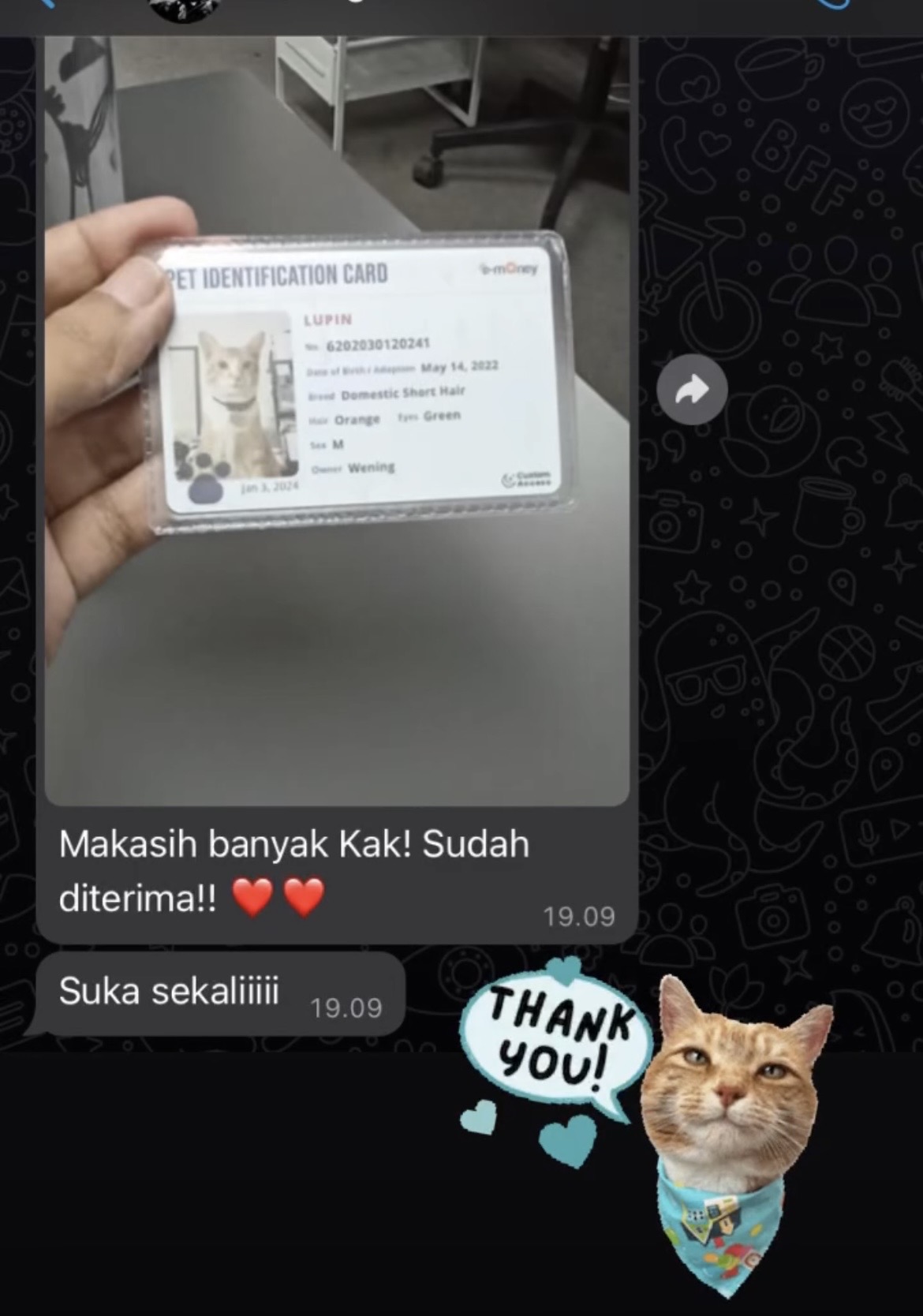 Testimoni 4